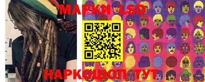 спиды Новозыбков