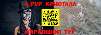 спиды Новозыбков