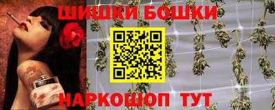 спиды Новозыбков
