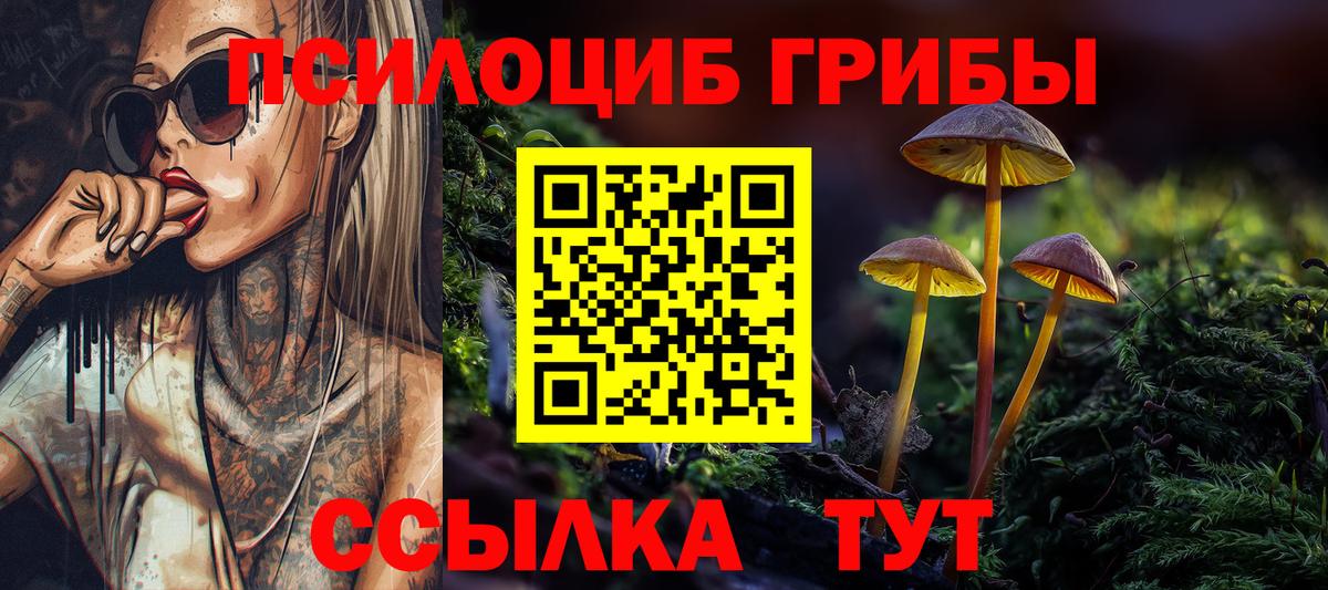 Псилоцибиновые грибы Magic Shrooms  Галлюциногенные грибы ЛСД  цены наркотик  Вход с VPN  Тобольск 