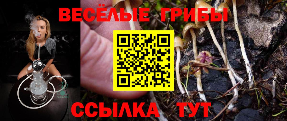 Псилоцибиновые грибы прущие грибы Тобольск